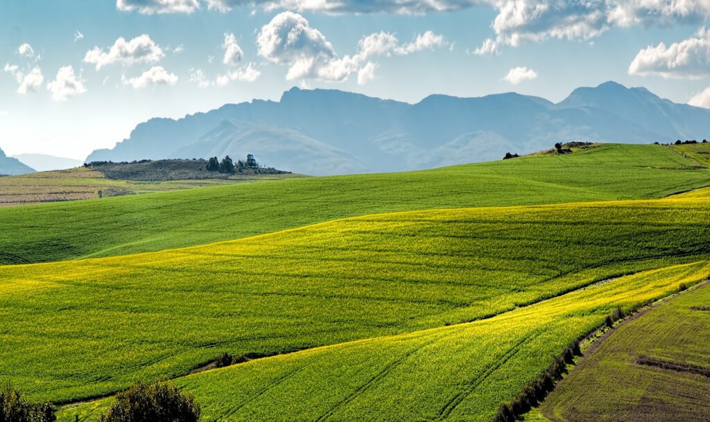 Challenges in Organic Farming
