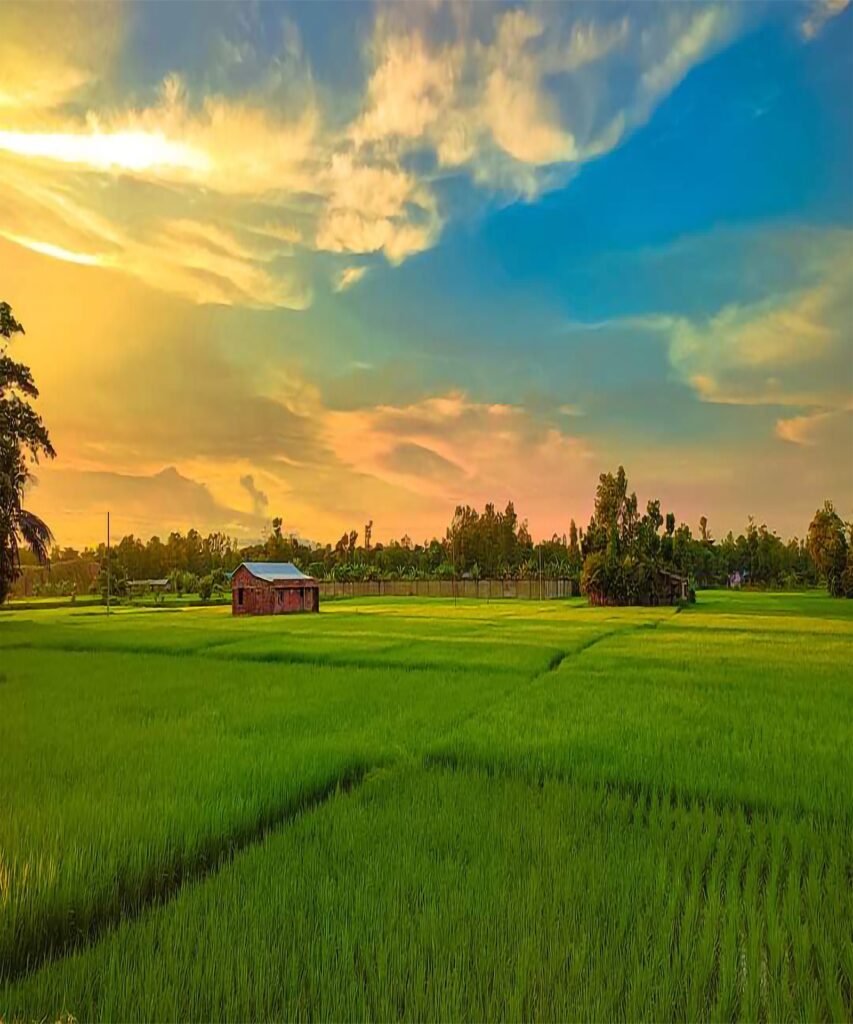 Challenges in Organic Farming