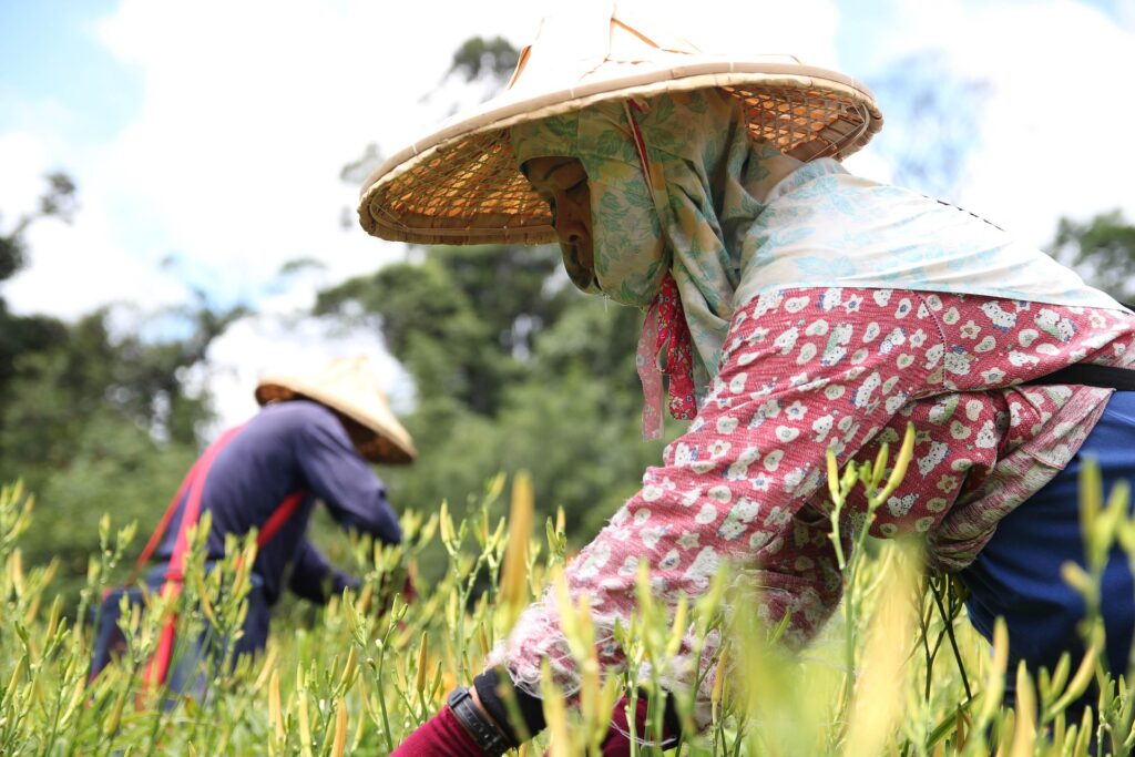 Natural Farming Methods