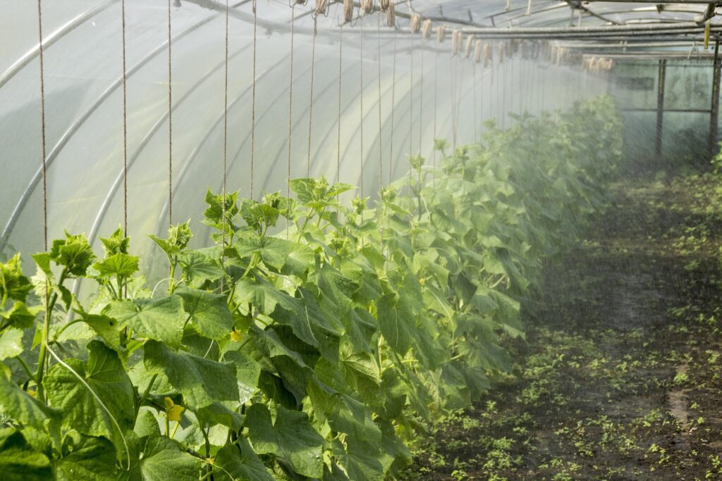 Embracing Permaculture Farming