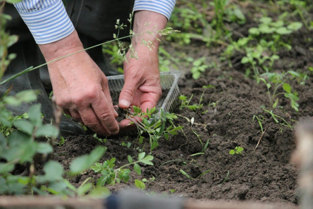 advantages of organic farming