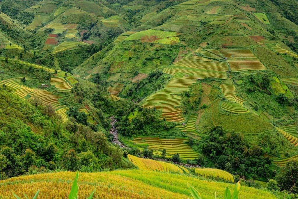 organic farming business