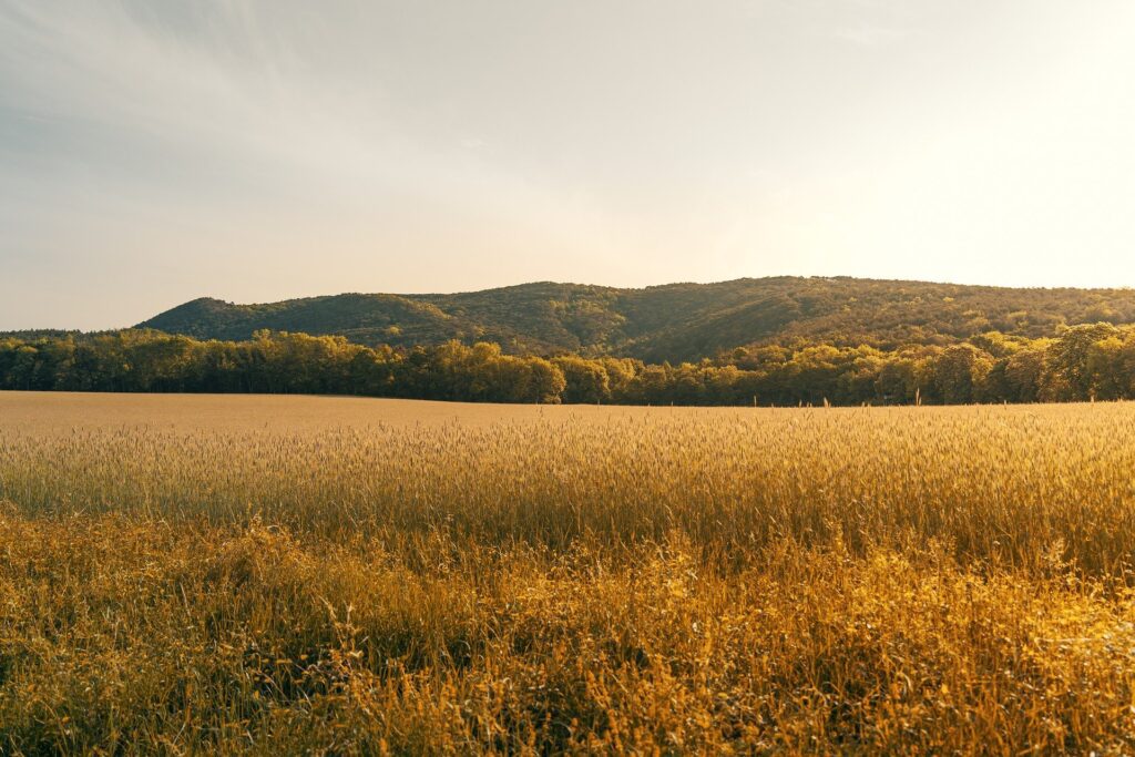 Farming forum