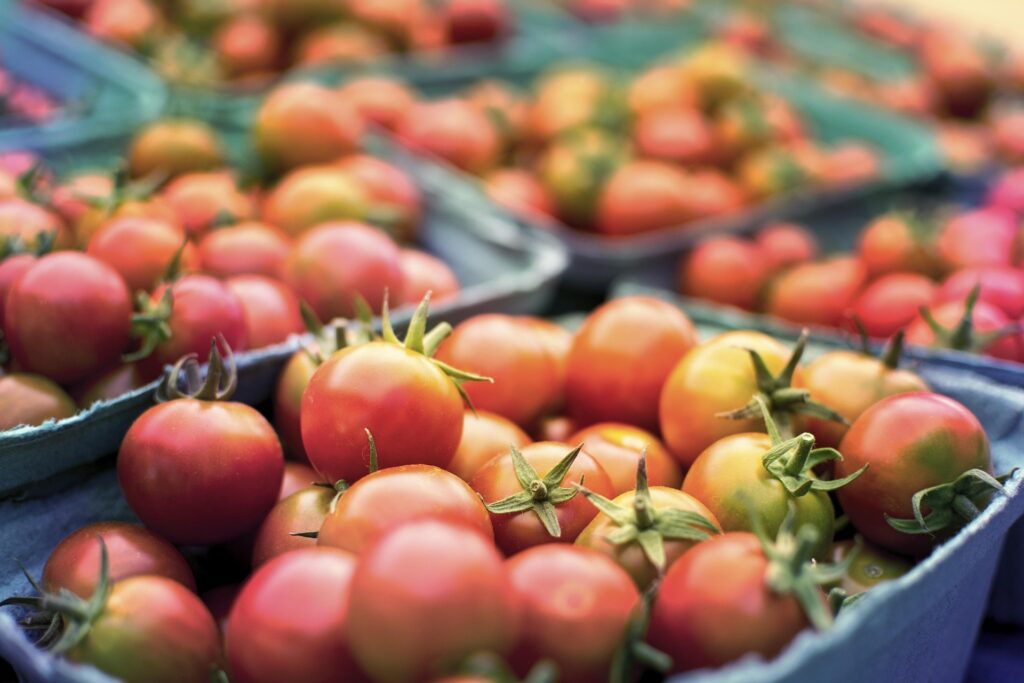 How to Start an Organic Farm